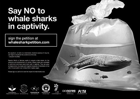 news_090320_1_Singapore_ whale_ shark_ campaign